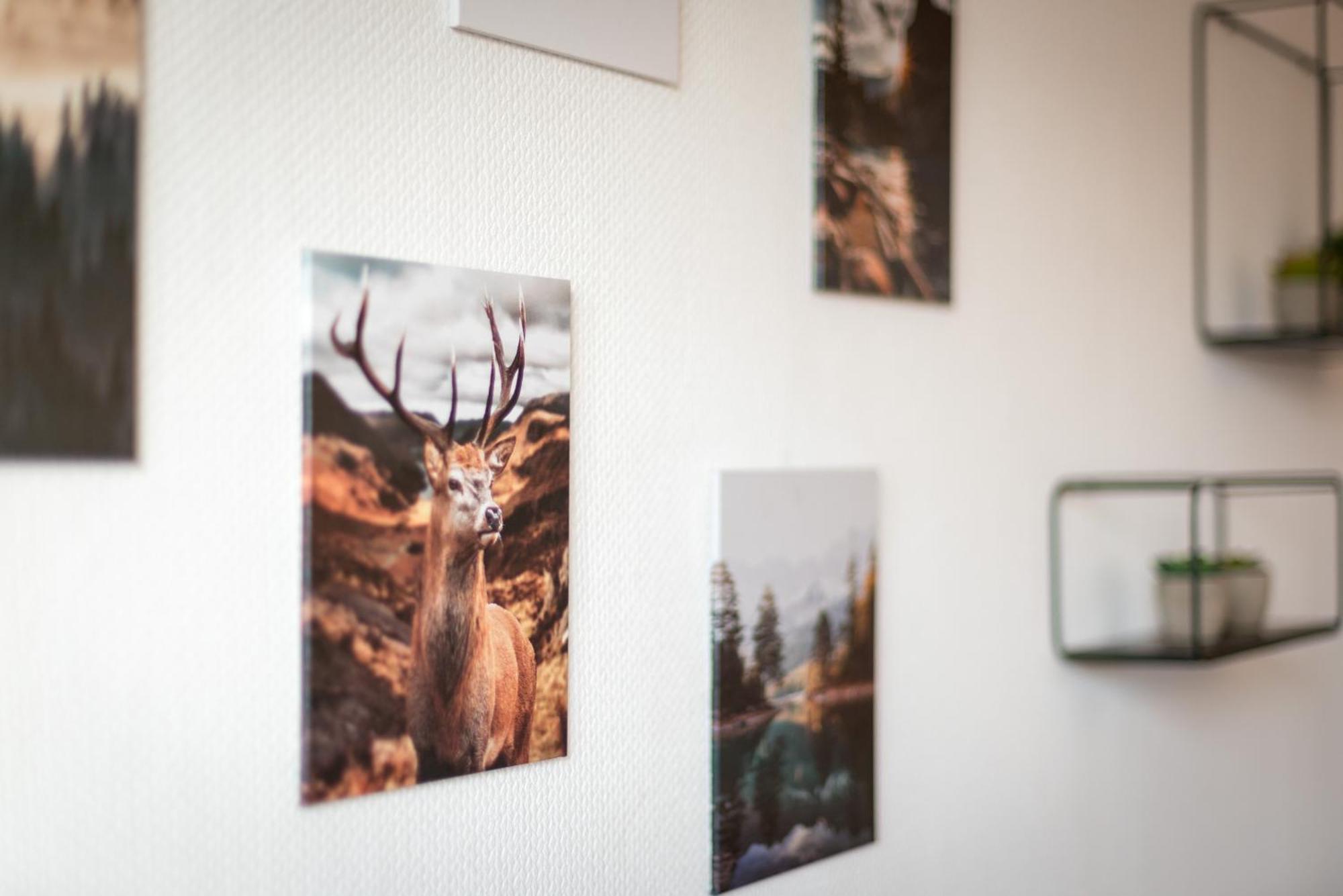 Immo-Vision - Natur Design Apartments, Parkplatz, Kueche Calberlah Zewnętrze zdjęcie